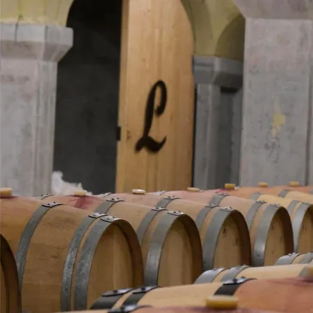 Domaine Du Chateau Larroque 乡村民宿 *