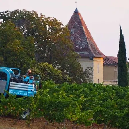 Domaine Du Chateau Larroque 乡村民宿 Sainte-Christie