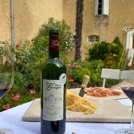 乡村民宿 Domaine Du Chateau Larroque Sainte-Christie